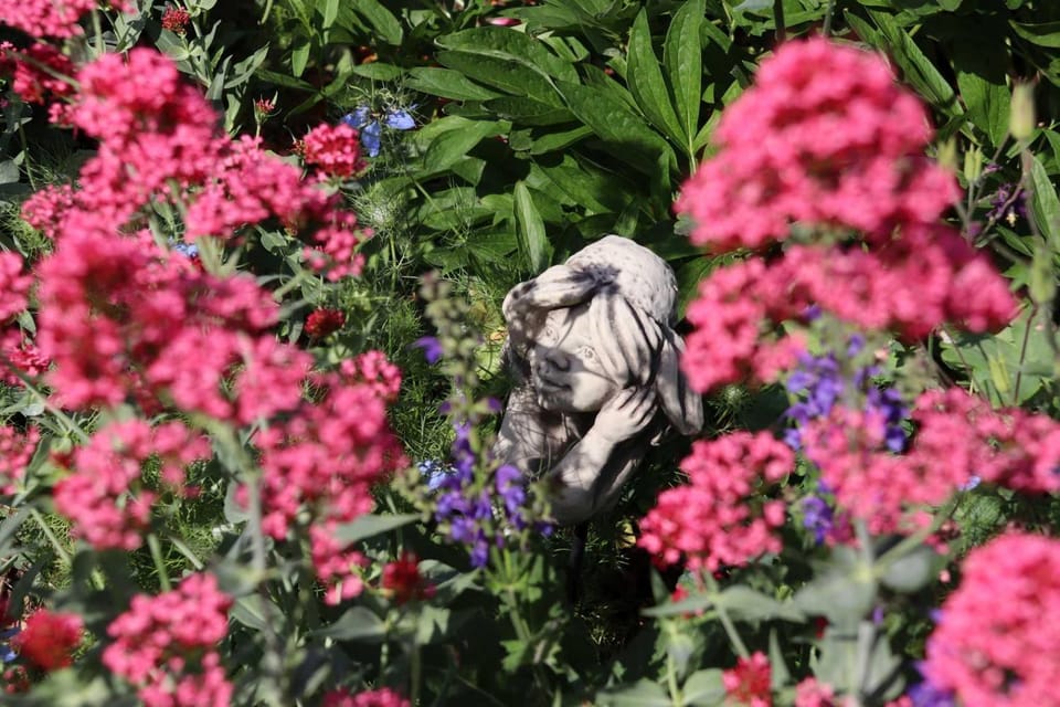 Spring, Garden