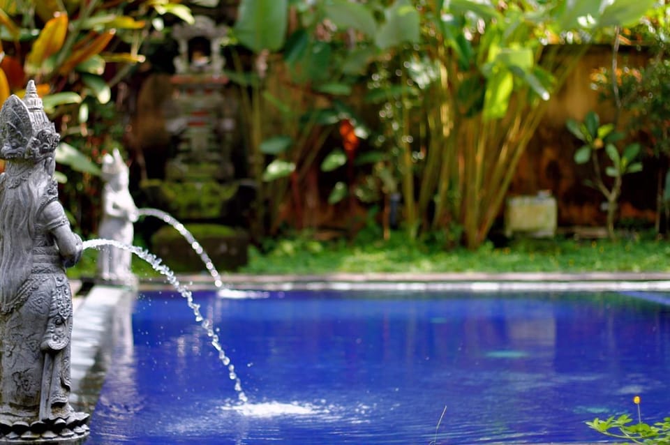 Garden, Swimming pool