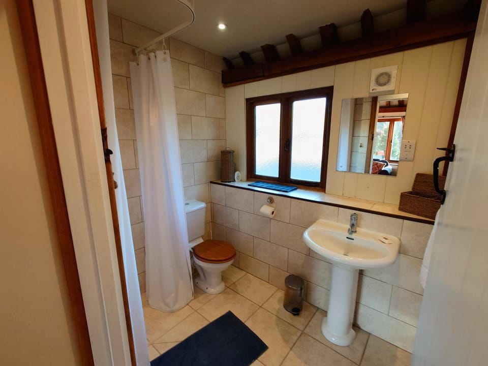 Bullrush at White Pond Farm House in Wycombe District