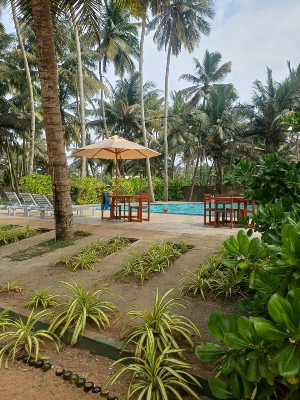 Roy Villa Beach Front Hotel in Western Province