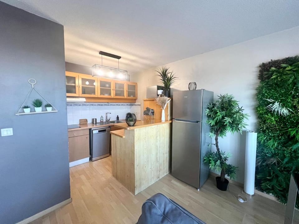 Le Corsaire - Appartement spacieux avec terrasse Apartment in Nouvelle-Aquitaine