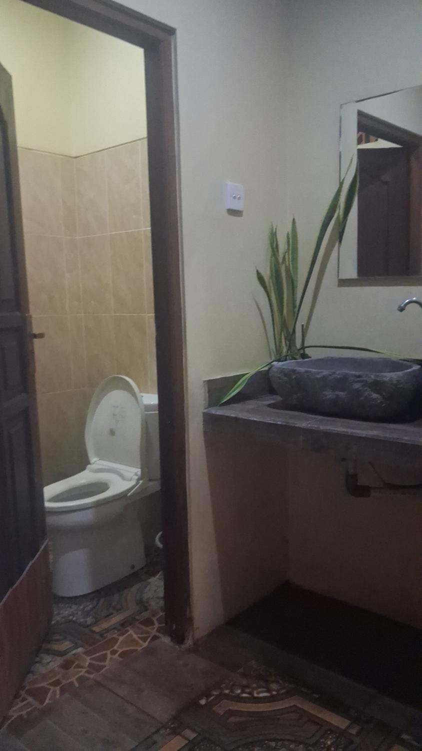 Toilet, Bathroom