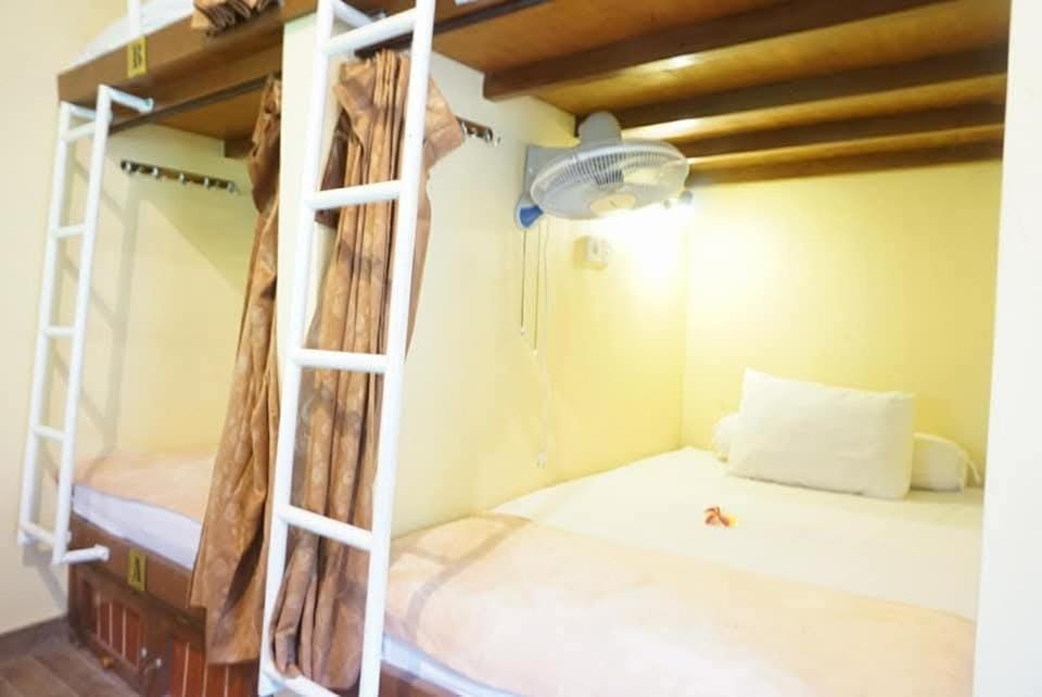 bunk bed