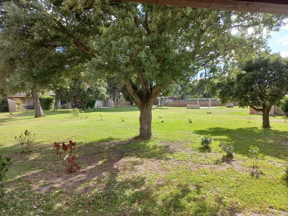 Garden, View (from property/room)