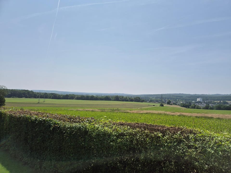 View (from property/room)