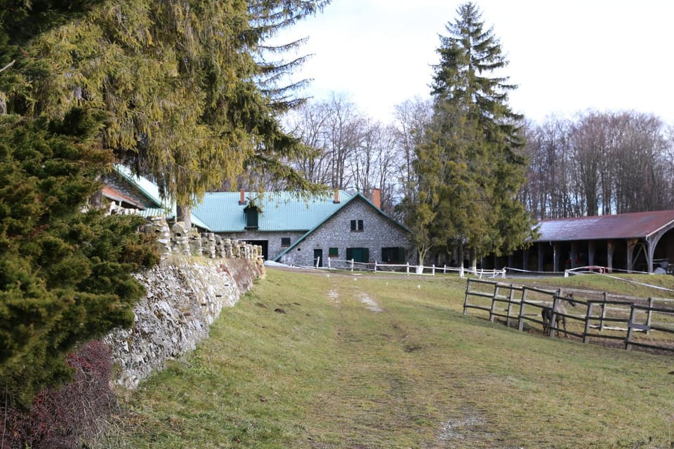 Csipkéskúti Lovas Vendégház Bed and Breakfast in Slovakia