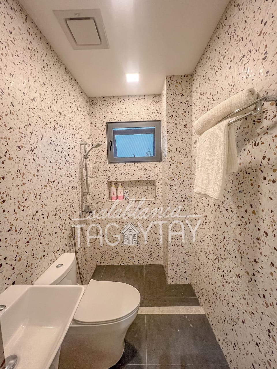 Bathroom, bidet, bidet