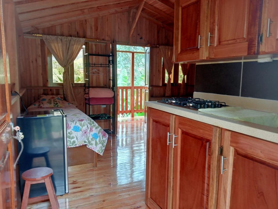Bed, Photo of the whole room, kitchen