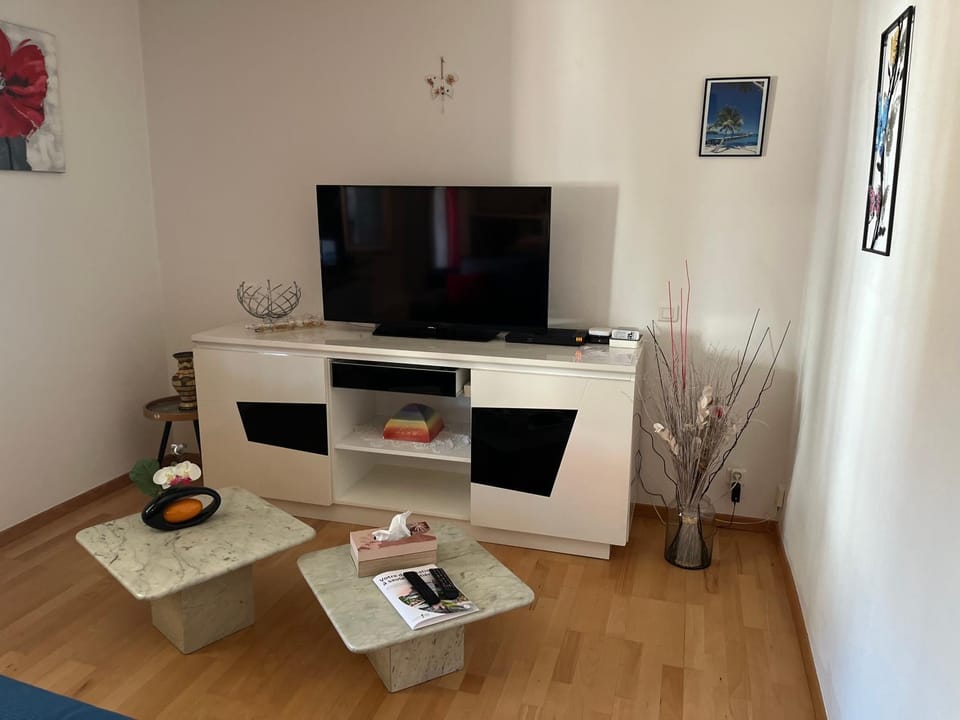 TV and multimedia