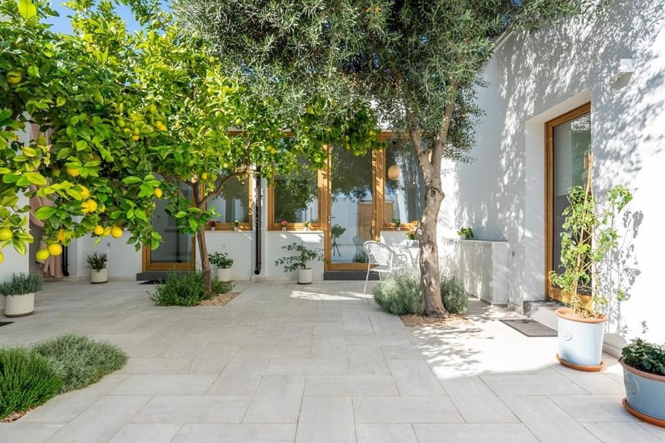 Property building, Spring, Day, Garden, Garden view