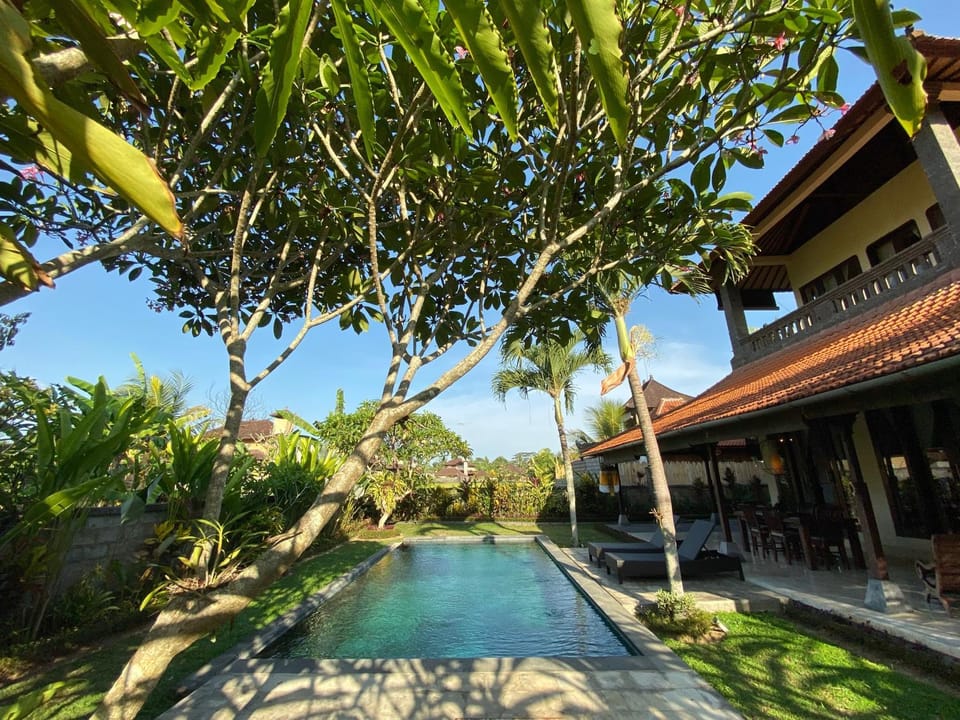Property building, Garden, Swimming pool, Swimming pool