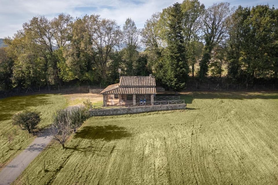 Property building, Natural landscape, Garden view