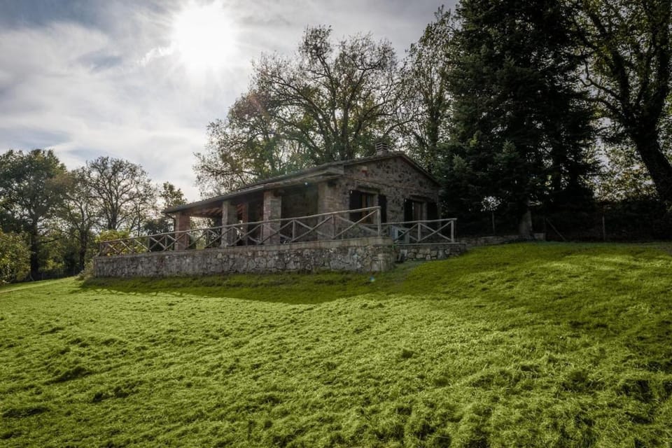 Property building, Garden, Garden view