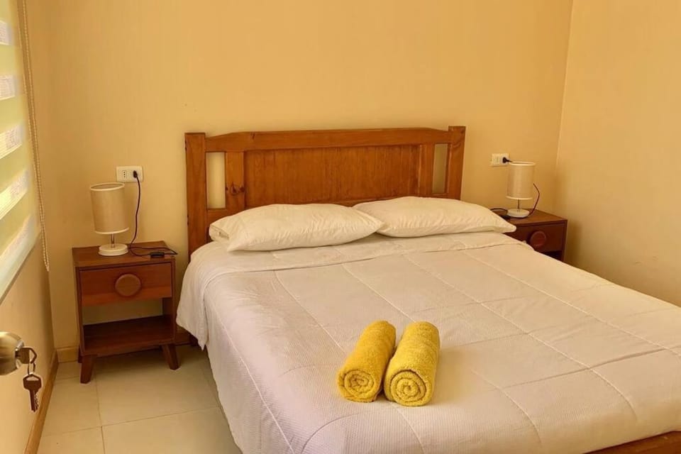 Cabaña Vicuña Retiro del Elqui Apartment in Coquimbo Region