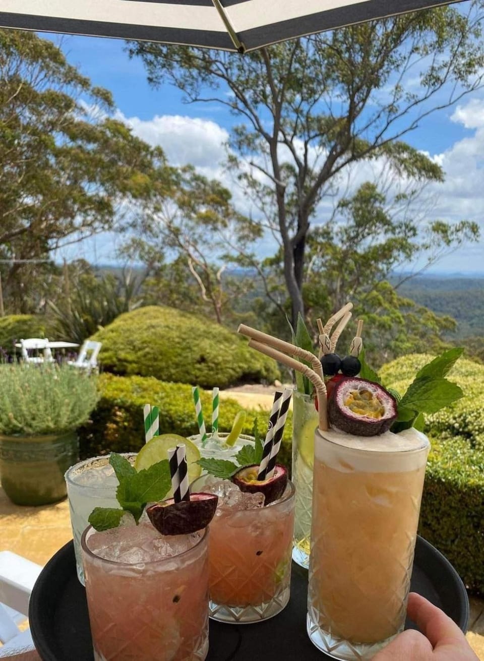 Natural landscape, Food and drinks, Mountain view, Drinks
