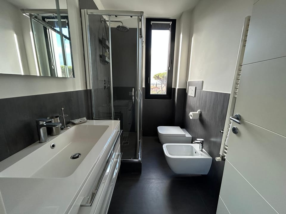 Toilet, Bathroom, bidet