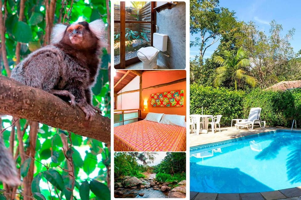 Garden, View (from property/room), Other, Animals, Bedroom, Pool view, River view, Swimming pool, Parking, bidet