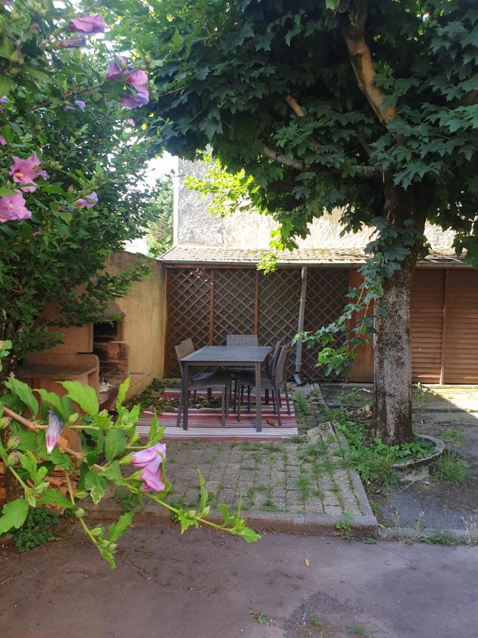 Garden view