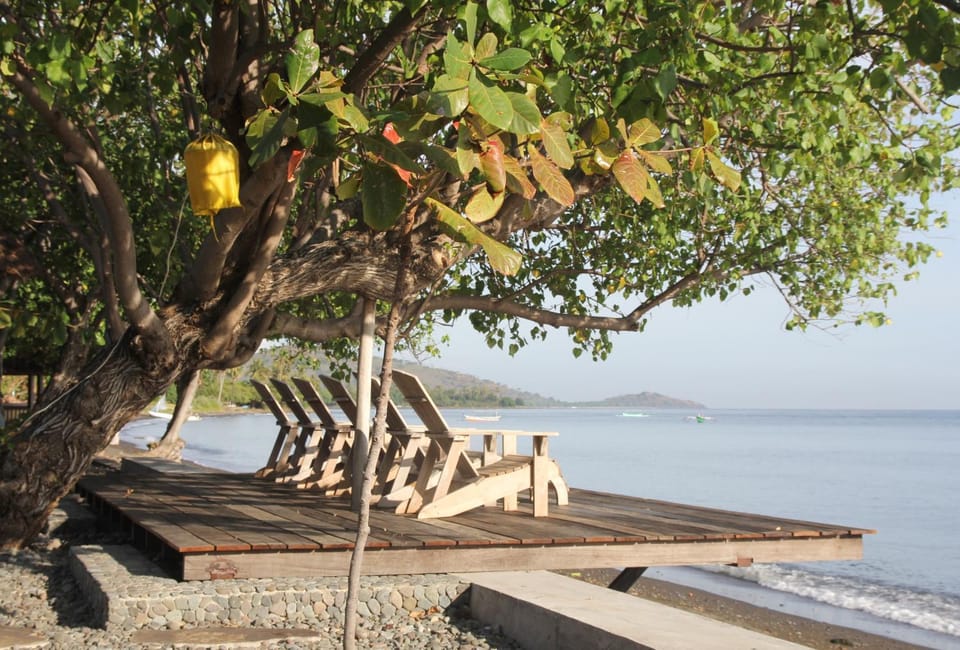 Balcony/Terrace, Seating area, Beach, Sea view