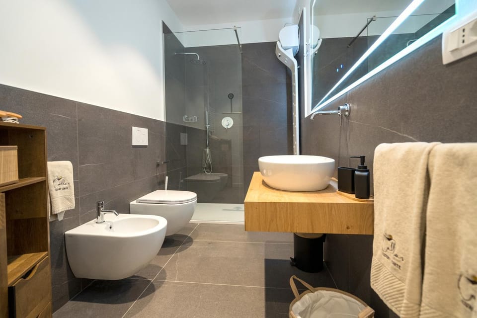 Shower, Toilet, Bathroom, bidet