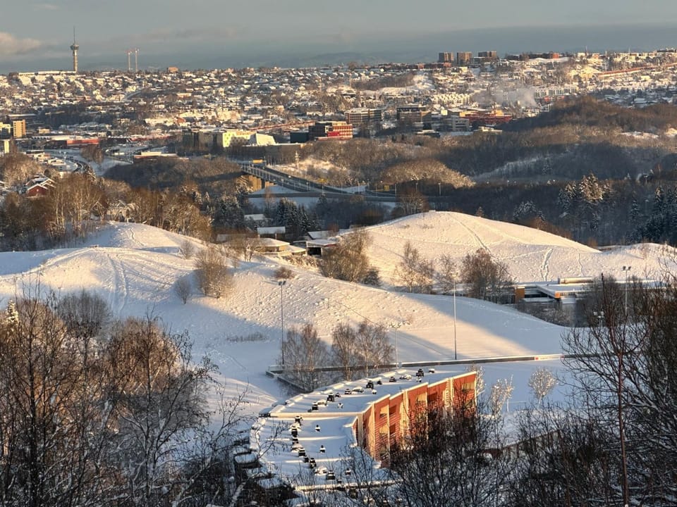 City view