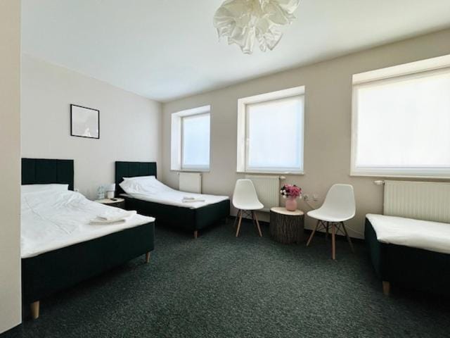 Bed, Living room, Photo of the whole room