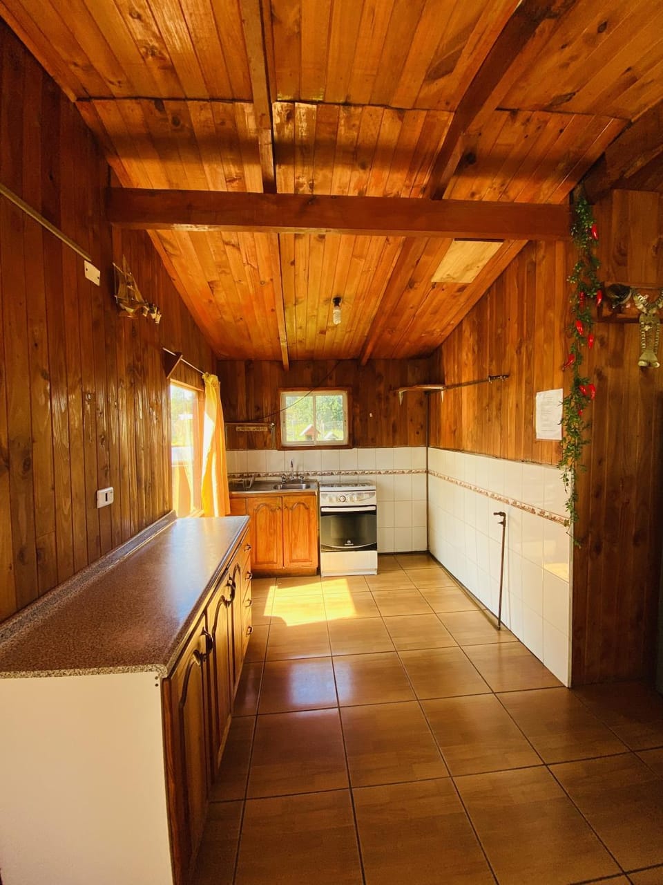 Cabaña Patricia Apartment in Pucon