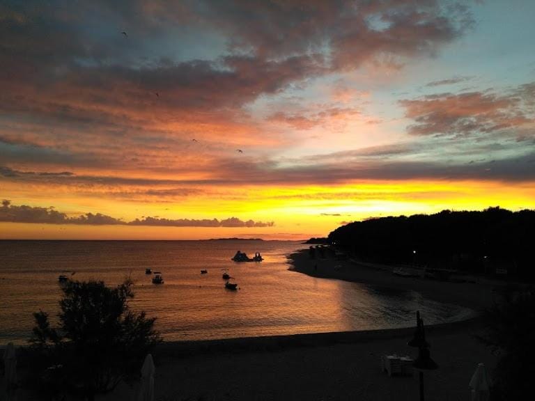 View (from property/room)