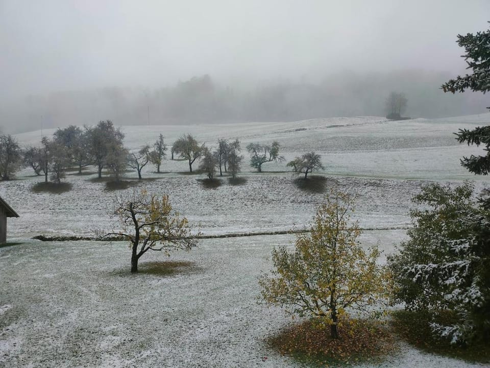 Off site, Natural landscape, Winter, View (from property/room)
