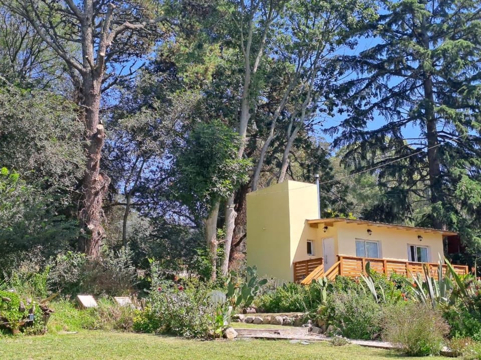 Property building, Natural landscape, Garden, Solarium, View (from property/room), Garden view, Swimming pool