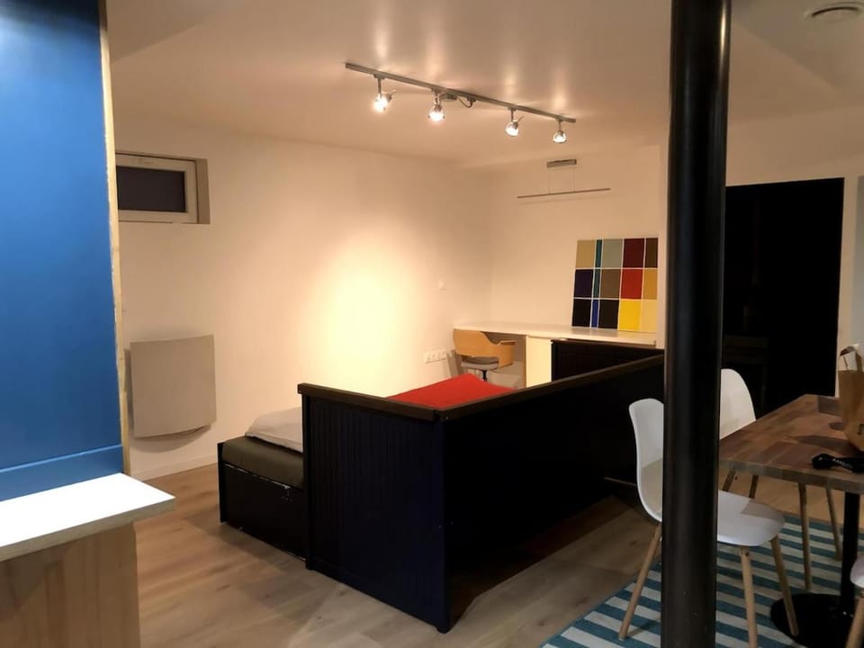 Petit loft entre Strasbourg et campagne Apartment in Strasbourg