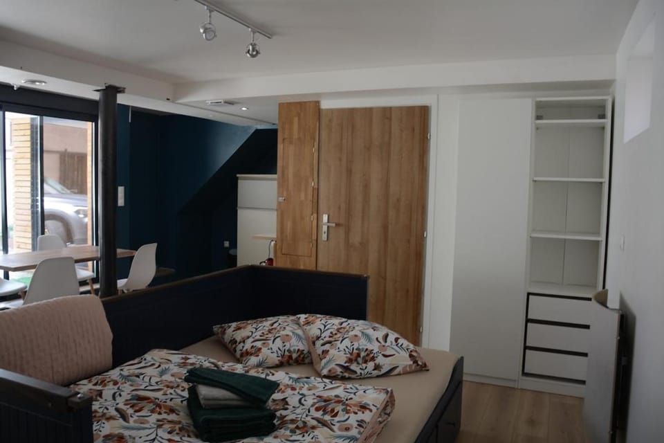Petit loft entre Strasbourg et campagne Apartment in Strasbourg