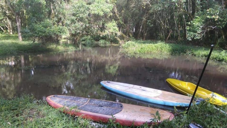Natural landscape, Activities, Lake view