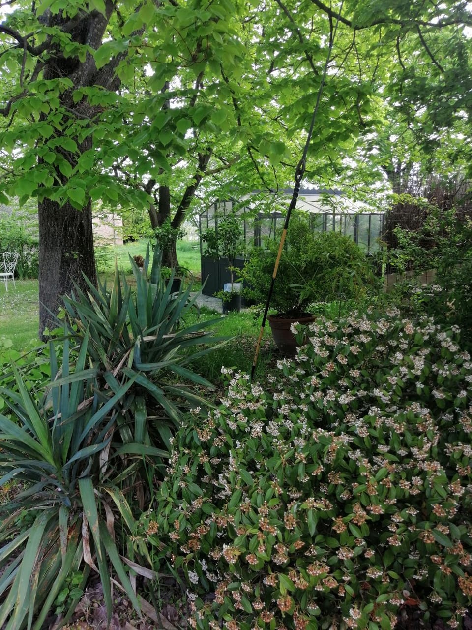 Natural landscape, Garden, Garden
