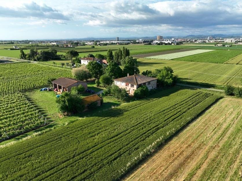 Property building, Bird's eye view