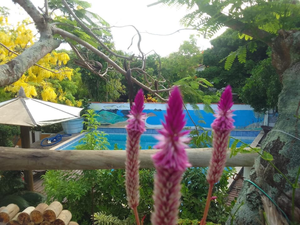 Ninho das gaivotas Vacation rental in State of Rio de Janeiro