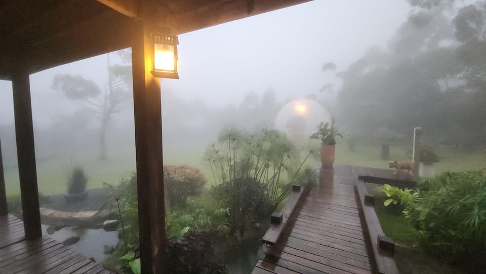 Natural landscape, Garden view