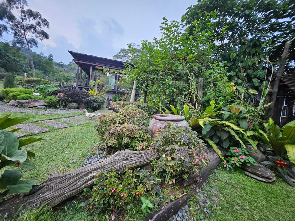Property building, Garden view