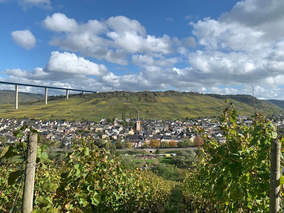 Weinhof Michael Morbach Bed and Breakfast in Cochem-Zell