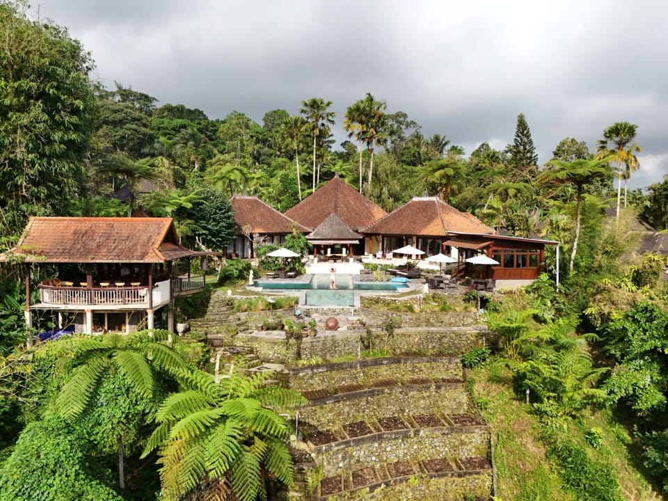 Property building, Day, Natural landscape, Garden, Garden view, Pool view, Swimming pool