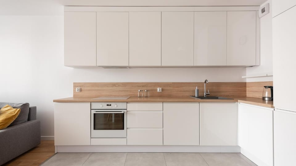 Kitchen or kitchenette, dishwasher, stove