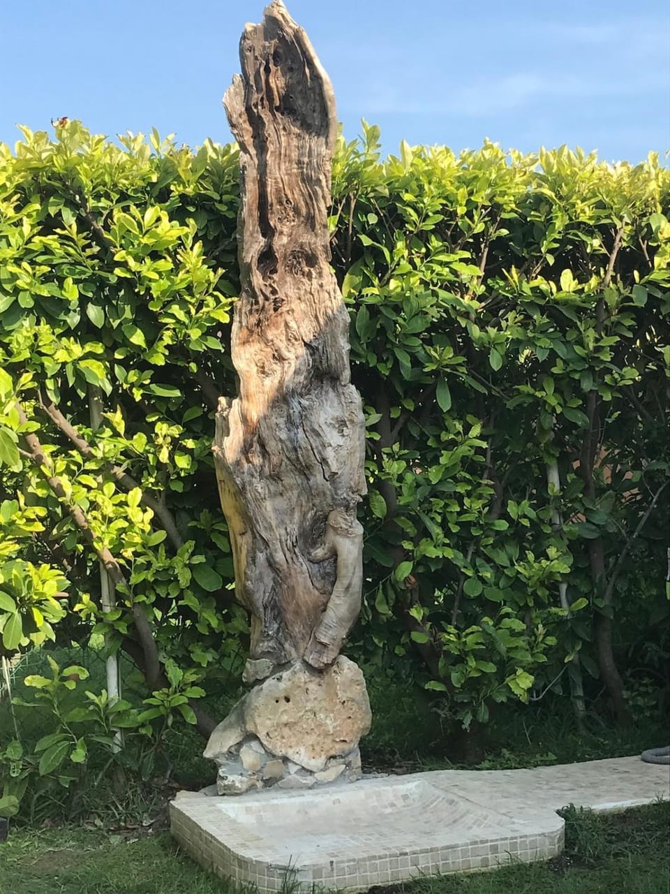 Shower, Garden