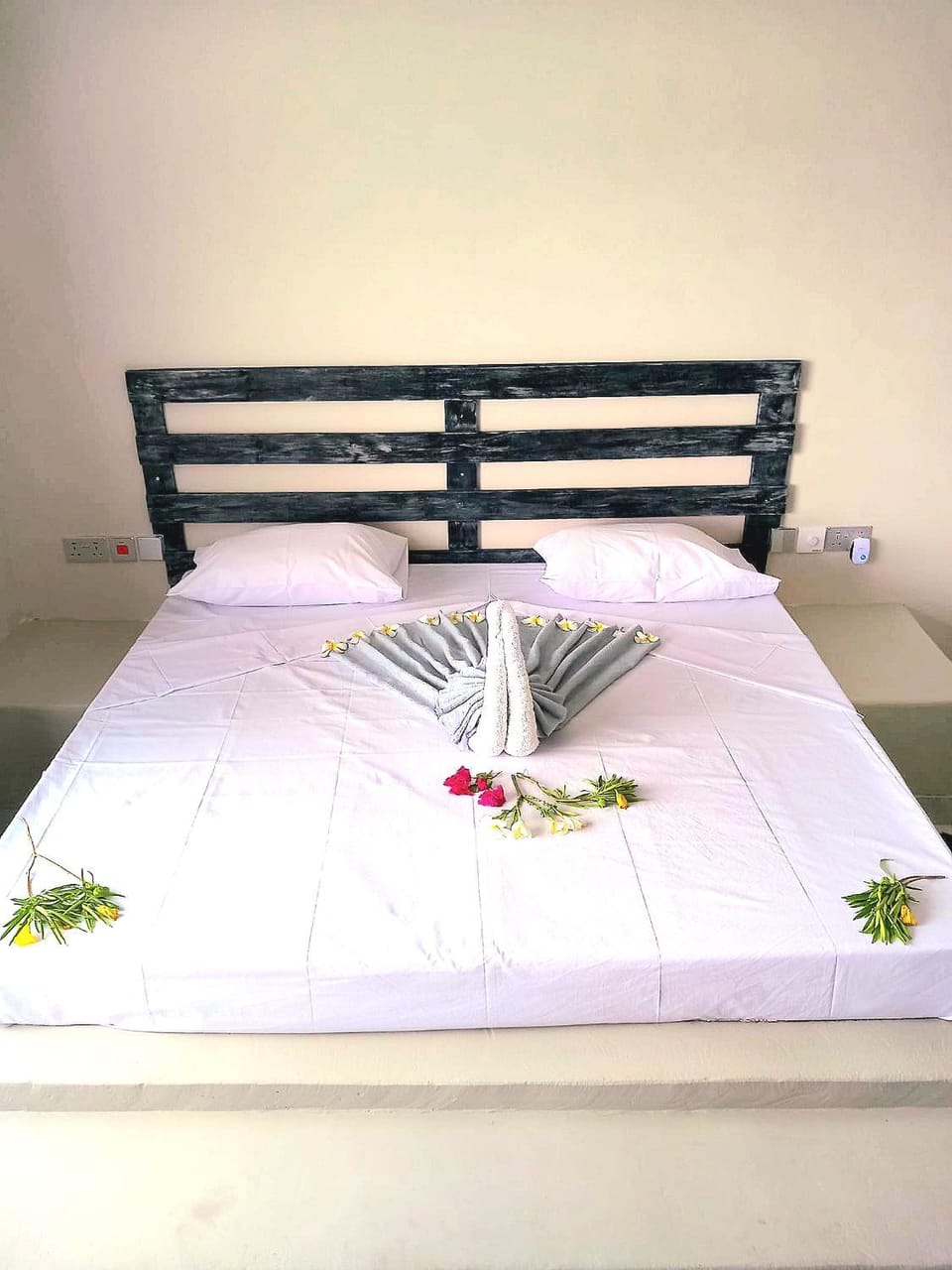 Villa SunShine exclusive Bed and Breakfast in Kenya