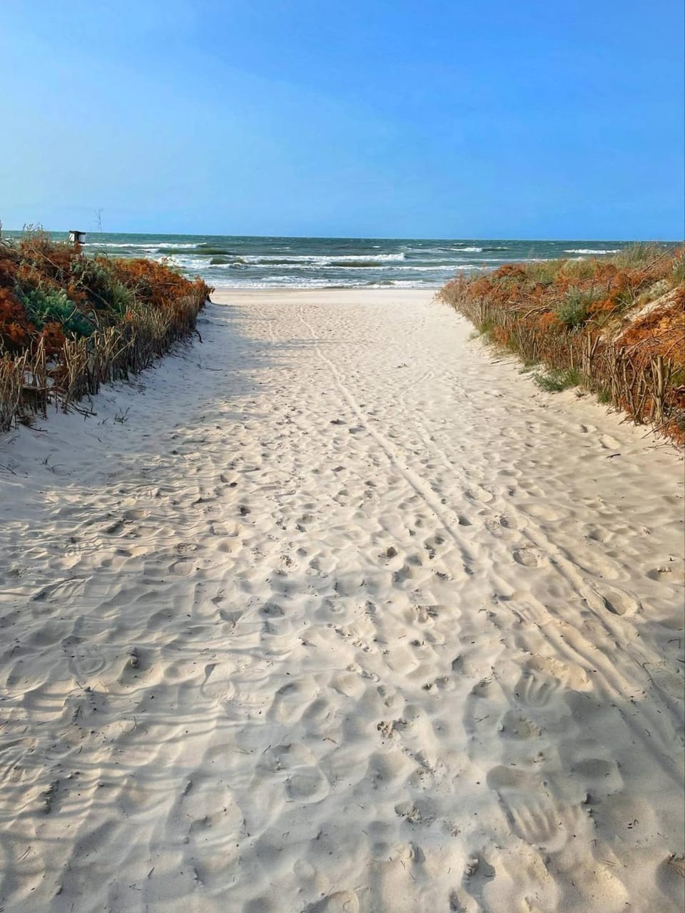 Beach