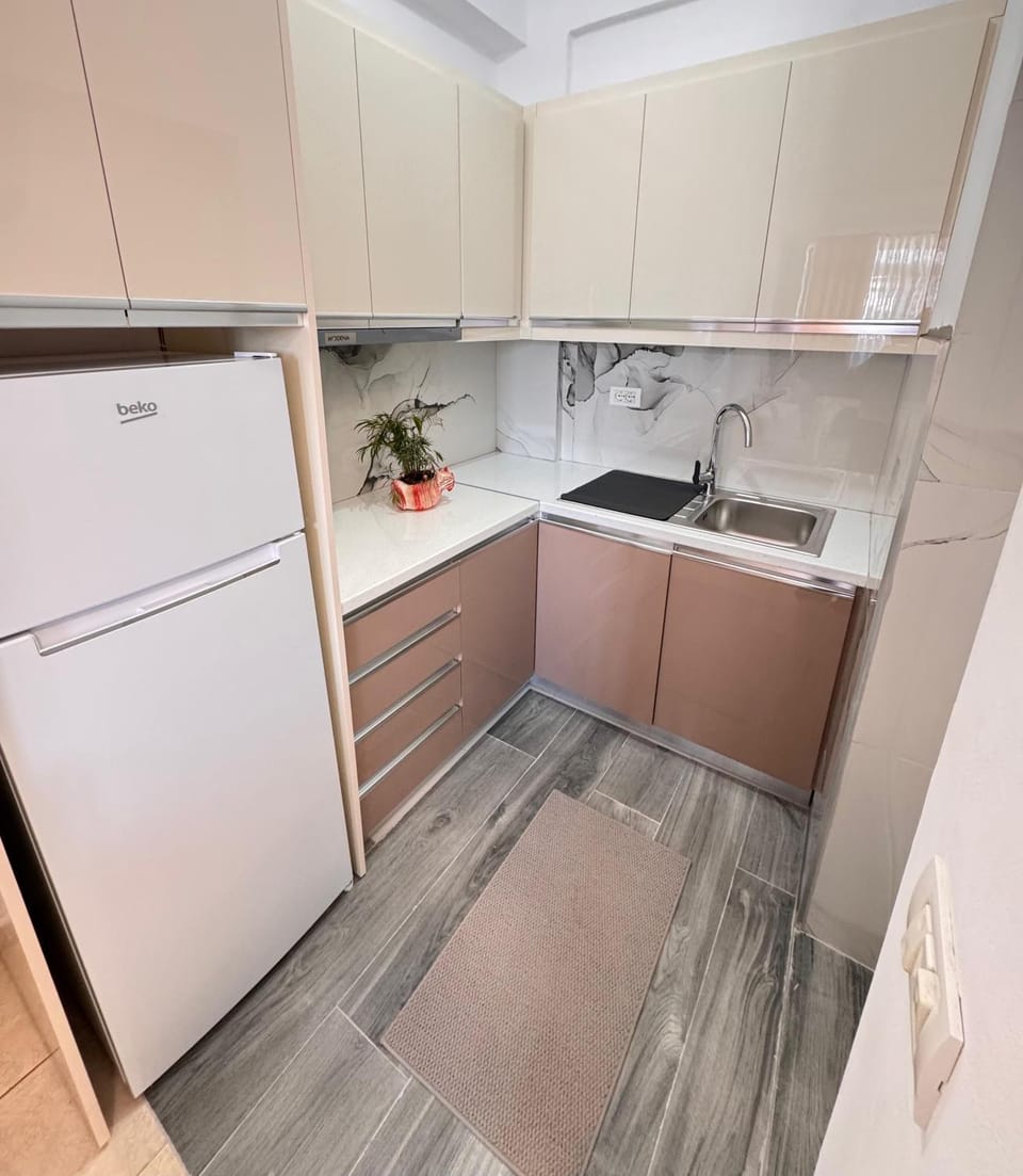 Kitchen or kitchenette, dishwasher, minibar, oven, pet friendly, stove