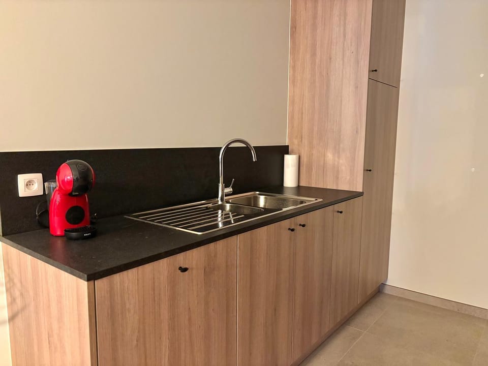 Ruytingen Modern Seaside Suite Apartment in De Panne