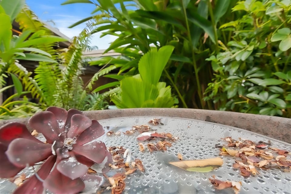 Green Cottage Trinity Beach I Pet friendly I BBQ House in Cairns