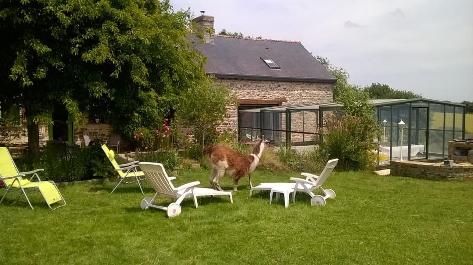 Animals