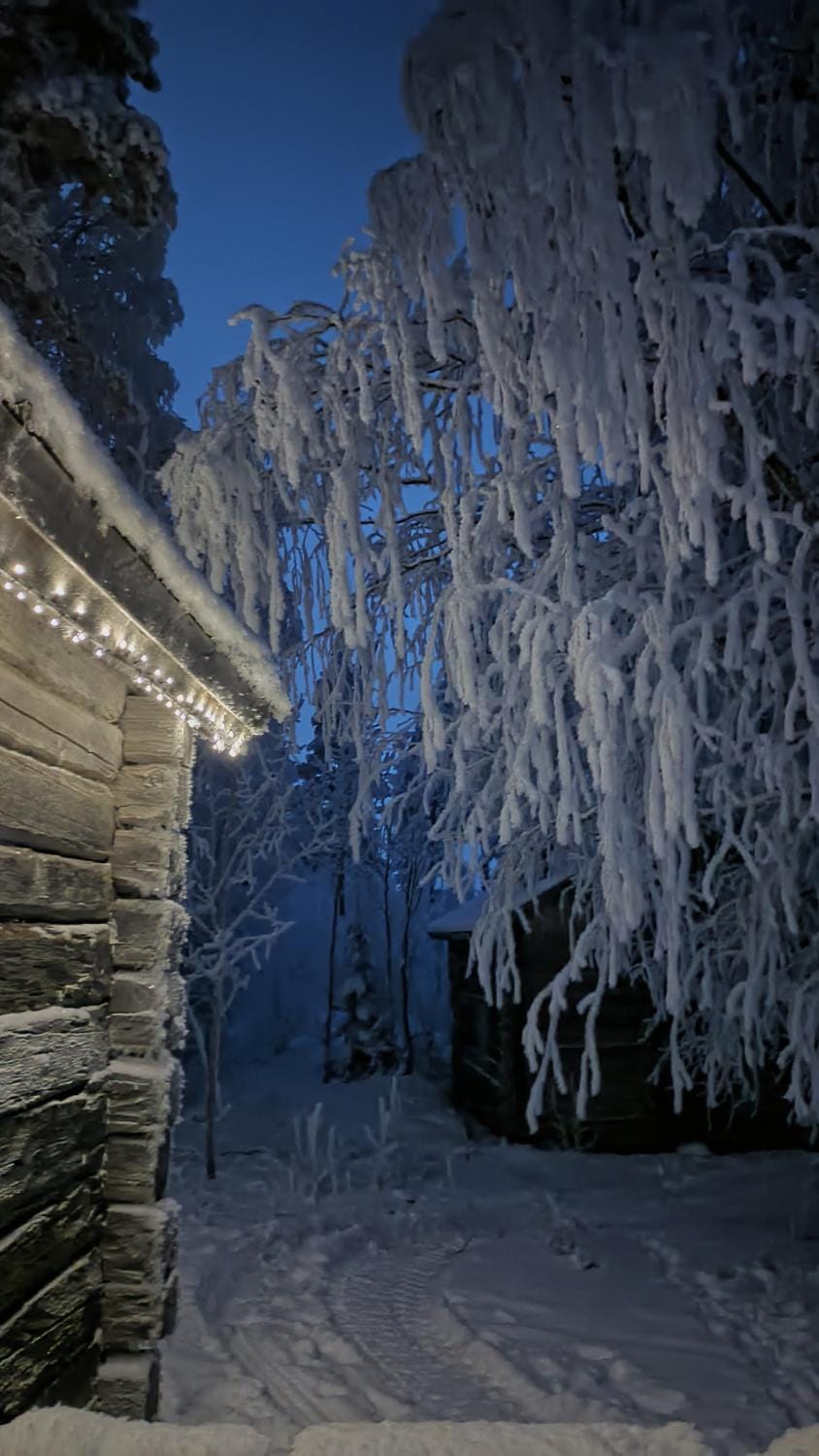 Mursuaho family stay Bed and Breakfast in Lapland