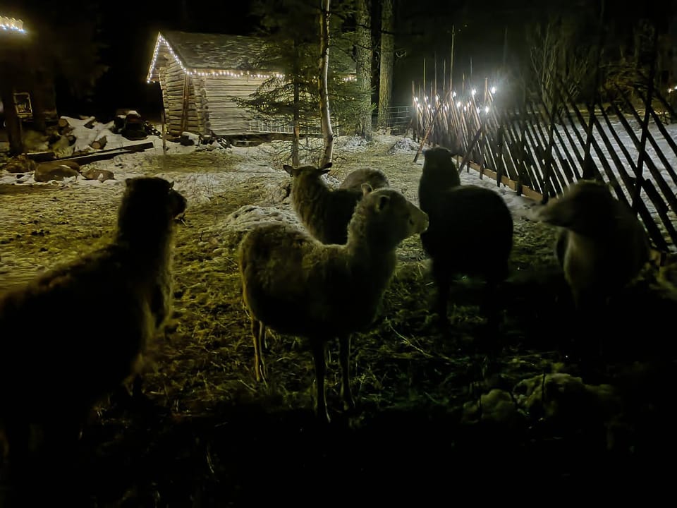 Mursuaho family stay Bed and Breakfast in Lapland